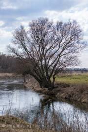 Koldinger See