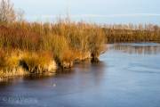 Koldinger See