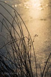 Koldinger See