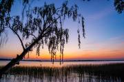 Plauer See
