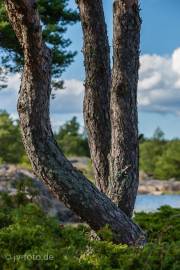 Hastersboda auf Föglö