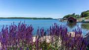 Degerby auf Föglö