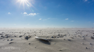 Am Strand von Amrum