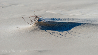 Am Strand von Amrum