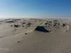 Der Strand von Amrum