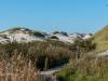 in den Dünen von Amrum