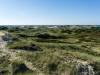 in den Dünen von Amrum