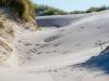 Am Strand von Amrum