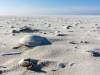 Am Strand von Amrum