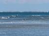 Blick auf Sylt