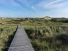 In den Dünen von Amrum