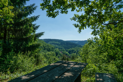 Rundweg um Bad Grund