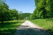 Rundweg um Bad Grund