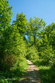 Rundweg um Bad Grund