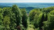 Blick vom Albertturm