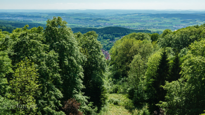 Blick vom Albertturm