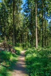 Rundweg um Bad Grund