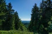 Rundweg um Bad Grund