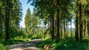 Rundweg um Bad Grund