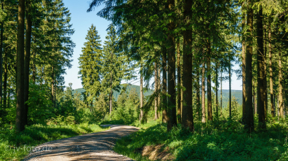 Rundweg um Bad Grund