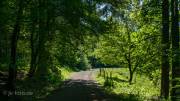 Rundweg um Bad Grund