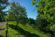 Rundweg um Bad Grund