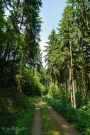 Rundweg um Bad Grund