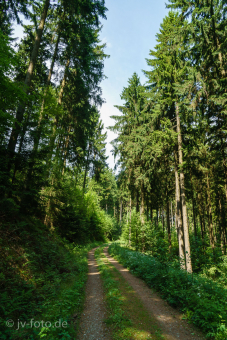 Rundweg um Bad Grund