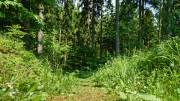 Rundweg um Bad Grund