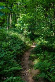 Rundweg um Bad Grund