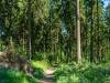 Rundweg um Bad Grund