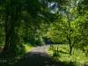 Rundweg um Bad Grund