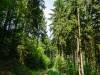 Rundweg um Bad Grund