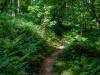 Rundweg um Bad Grund