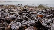 Am Strand von Binz