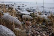 Am Strand von Binz