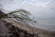 Am Strand von Binz