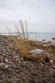 Am Strand von Binz