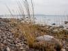 Am Strand von Binz