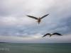 Am Strand von Binz