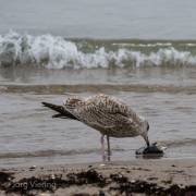 Am Strand von Binz