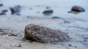 Am Strand von Binz