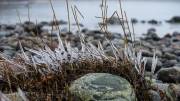 Am Strand von Binz