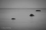 Am Strand von Binz