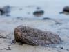 Am Strand von Binz
