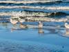 Am Strand von Binz