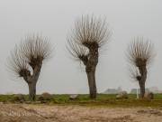 Am Strand von Boltenhagen