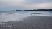 Am Strand von Boltenhagen