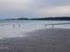 Am Strand von Boltenhagen