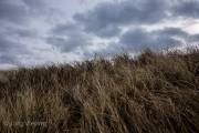 Cuxhaven